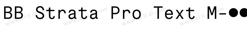 BB Strata Pro Text M字体转换